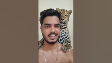 #tutorial #trollface #troll #edit #tiktok #filter