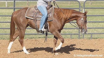 Peppys Equity***For info, price, etc., go to our website*** Valley View Ranch