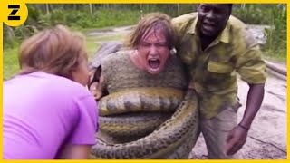 10 Nejděsivějších Setkání S Hady Zachycených Na Kameru