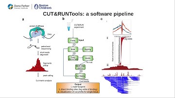 Zhu Qian RegGenomics ISMB 2020