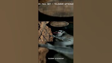 BINARY OPTIONS BOT 2026: Witness 98.4% Accuracy In Real-Time Automated Trading #shorts