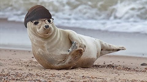 BoF3 RANDOMIZER PERMADEATH