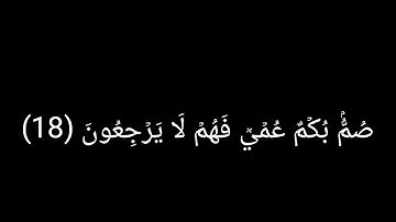 قرآن كريم سوره البقره من الايه 11 الي الايه 20 بصوت الشيخ ياسر الدوسري