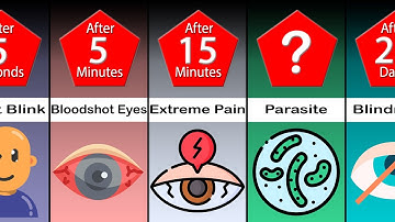 Timeline: What If You Stopped Blinking?