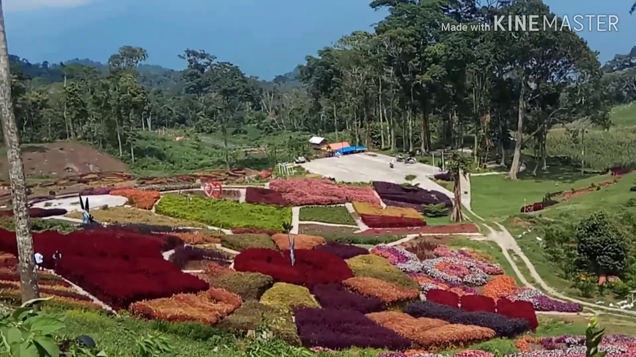 Agro Wisata Puncak Tonang Youtube Agro Wisata Puncak Tonang Youtube