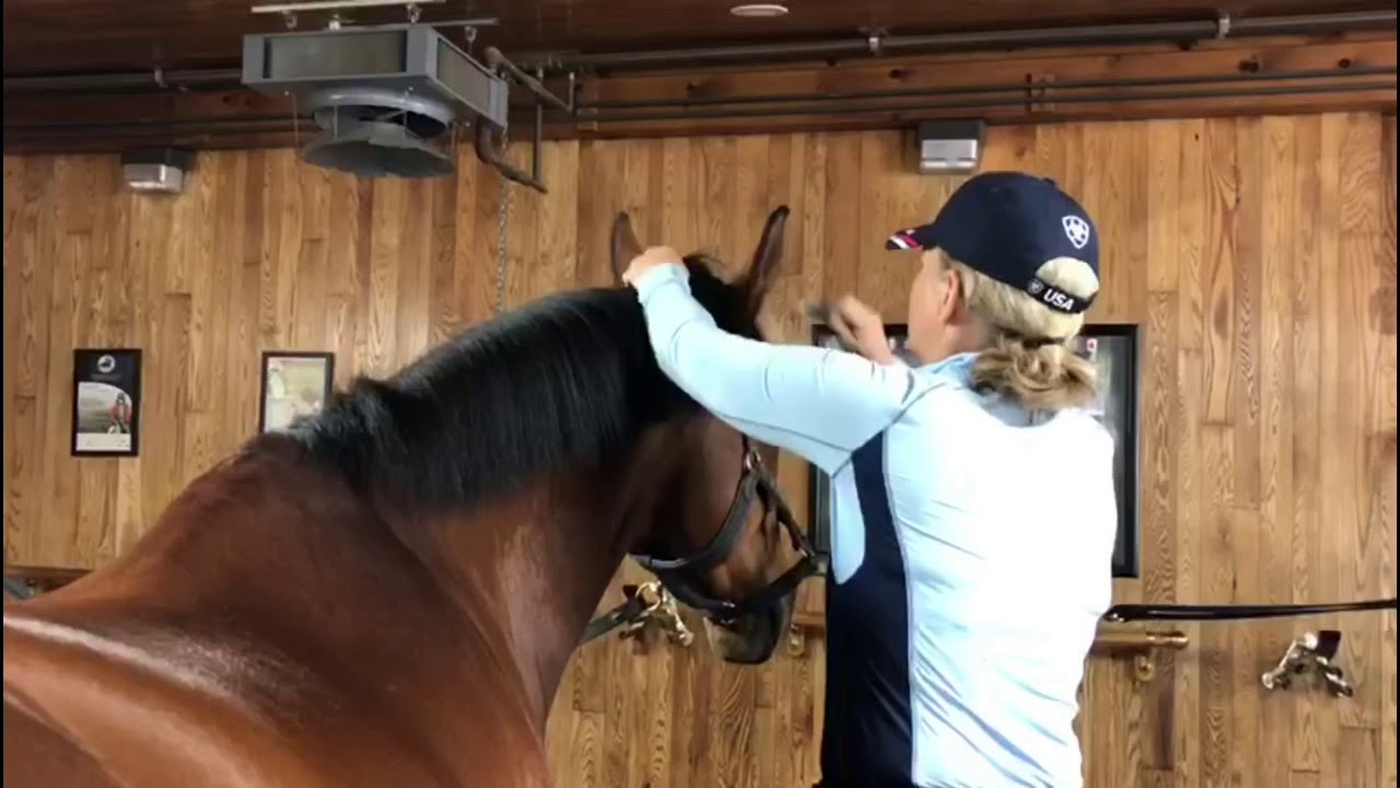 Метод Мэддена: выдергивание и подравнивание гривы прыгуна