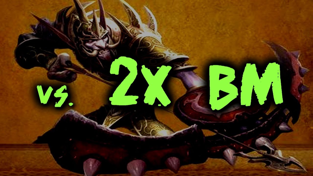 druid-pvp-3v3-vs-brang-2x-bm-hunter-team-youtube
