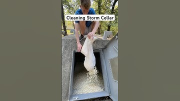 Cleaning Storm Cellar For Tornado Season #shorts