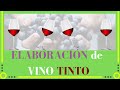 Elaboración de VINO TINTO🍷[Explicado]✅[Curso de vinos]