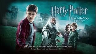 Harry Potter and the Half-Blood Prince Soundtrack | The Drink of Despair - Nicholas Hooper