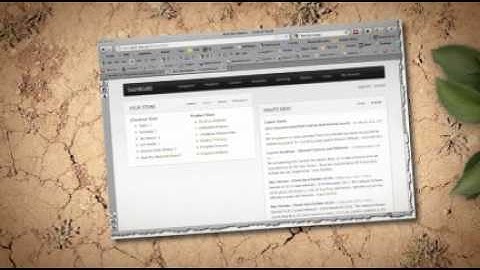 Bird box cameras and garden bird houses