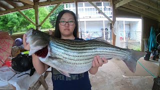 Lake Hickory Striped Bass Fishing (Top Water)Part1