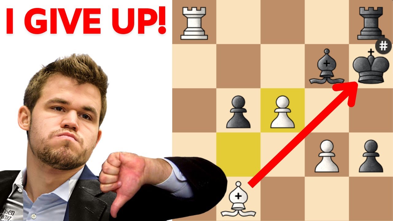 Dei cheque mate mas jogo considerou empate. Por que? - Chess Forums 