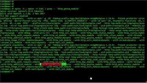 How To Configure And Use GeoIP Module with Nginx on Ubuntu 18.04 LTS