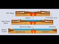 Siderian Period (Pre-U.S. History Part 6)