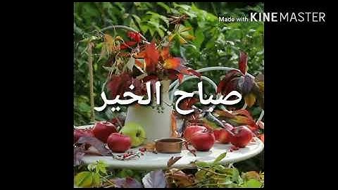 صباح الخير مع تلاوه رائعه من الذكر الحكيم مقطع قصير