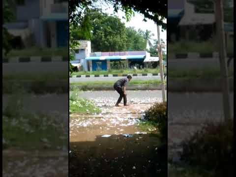 Thothalum jeichalum..... Meesaya murukku..N