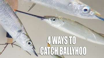 4 WAYS TO CATCH BALLYHOO - How To Catch Bait Fish