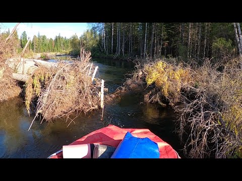 Видео: Река Комал закрывается?