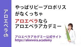 ビープロポリスとアロエベラは相性抜群