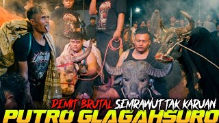 HEBOH! PASUKAN ANTI BAPER SEMRAWUT TAK KARUAN DI SRUDUK BANTENG PUTRO GLAGAHSURO