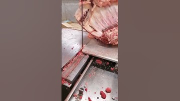 Beef Forequarter Breakdown | How To Cut Beef Forequarter skill #shorts #viral #meatboy