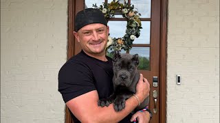 Brand New Puppy Giveaway!