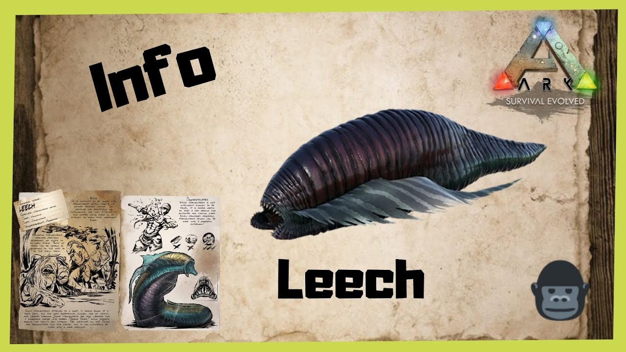 🦖ARK‬ Survival Evolved 🦖 Leech Info 2022 [/Taming/INFO/ GUIDE/Deutsch