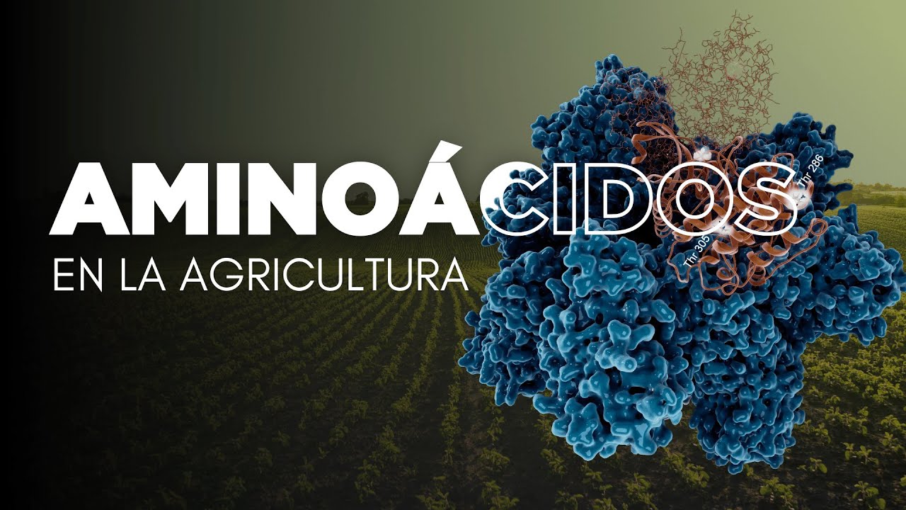 Aminoácidos en la agricultura - todo lo que necesitas saber