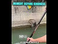 THEY KINDNESS OF HIS CAT Headlights Feat KIDDO Slowed 