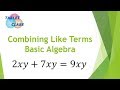 Combining Like Terms (Basic Algebra Concept)