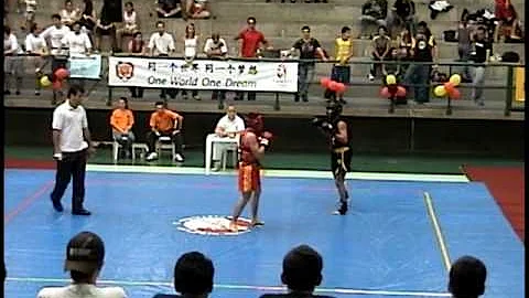 arthur gaspari regionais kung fu 2.VOB