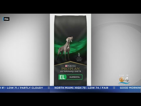 Video: RECALL: Landsdækkende Tilbagekaldelse af Udvalgte Kyllinghunde Chews På grund af Salmonella