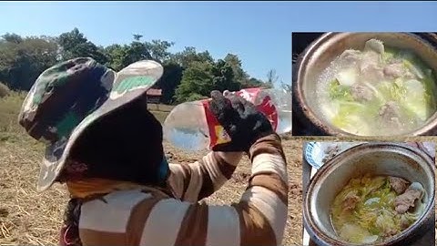 Hnub no mus khawb qhov npaj cog dib os12/11/2019