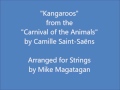 Miniature de la vidéo de la chanson The Carnival Of The Animals: Vi. Kangaroos