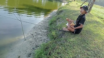 Tổng hợp cảnh câu cá rô đồng ở quê - Tập 1