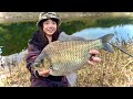 釣れるヘラブナが全部デカい！！山奥のダム湖で両グルテン底釣り【田瀬ダム 岩手県】