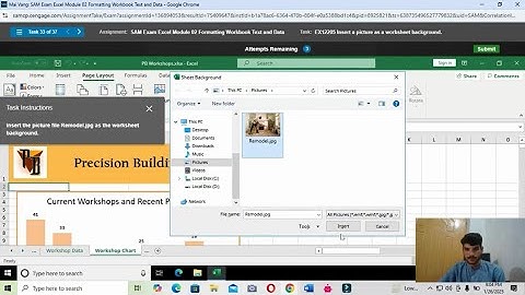 Excel Module 2 Sam Exam | Excel Module 2 SAM Exam