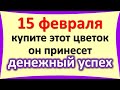 15 февраля важный день, купите этот цветок, он принесет денежный успех. Что ожидать от вторника