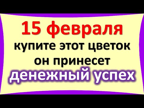 15 בפברואר הוא יום חשוב, קנה את הפרח הזה, זה יביא להצלחה כספית. למה לצפות מיום שלישי