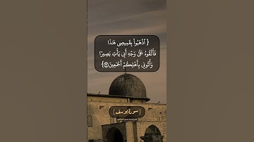 سورة يوسف الآية ٩٣ الى ٩٥ بصوت الشيخ محمد صديق المنشاوي