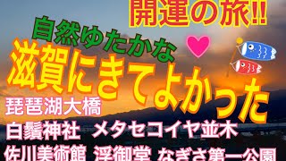 【滋賀にきてよかった‼️】琵琶湖大橋☆白鬚神社☆メタセコイア並木☆佐川美術館☆浮御堂  #滋賀県 #琵琶湖 #神社仏閣
