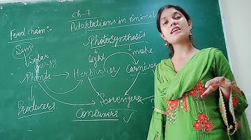 Class 4 science chapter 7 part 5