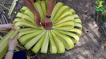 Hướng Dẫn Hoa Lớn Bằng Lá Dừa -Phần 2 [ How To Make Big Coconut Leaves]