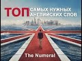 Числительные в английском языке. The Numeral.