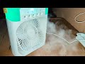 تجربه التكييف الصغير التكييف المحمول التكييف المعجزة هل يستاهل نشتريه والسعر مش يتصدق Air Cooler Fan تجربه التكييف الصغير التكييف المحمول التكييف المعجزة هل يستاهل نشتريه والسعر مش يتصدق Air Cooler Fan