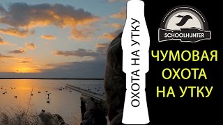 Чумовая охота на утку