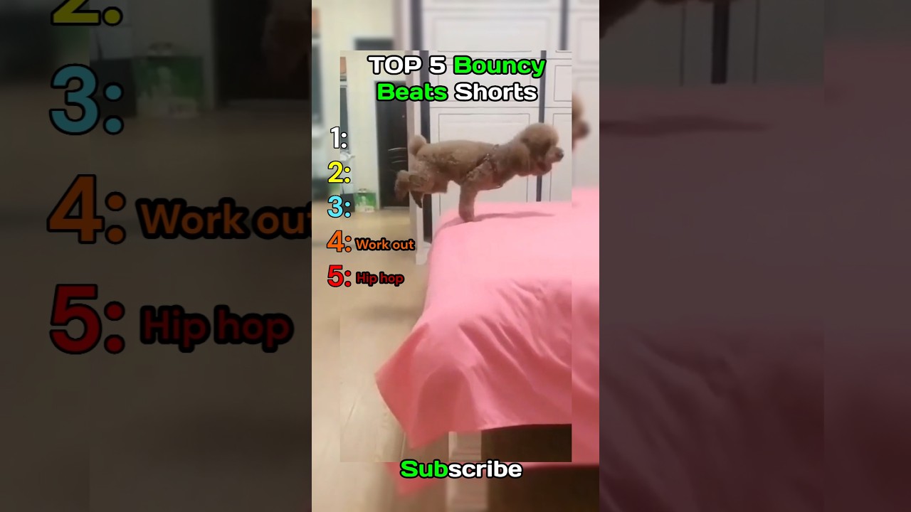 Top 5 Bouncy Beats Moments 