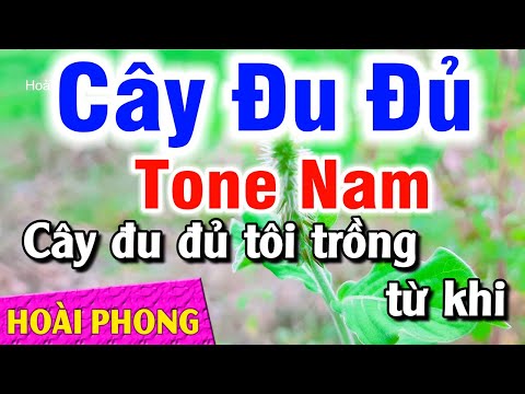 Lời Bài Hát Cây Đu Đủ - Karaoke Cây Đu Đủ Tone Nam Cm Nhạc Sống Phối Mới | Hoài Phong Organ