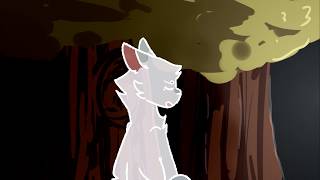 |  Belle - Warrior Cats MAP Bluestar | Part 34